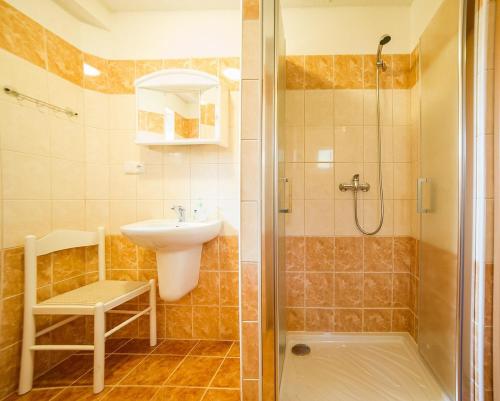 a bathroom with a shower and a sink and a toilet at Pension Jana in Český Krumlov