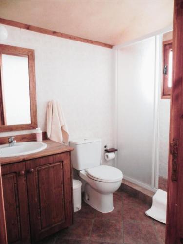a bathroom with a toilet and a sink and a mirror at Kardama HideAway in Kato Amiandos