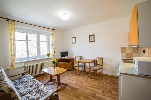 Kuchyň nebo kuchyňský kout v ubytování Pension Jana