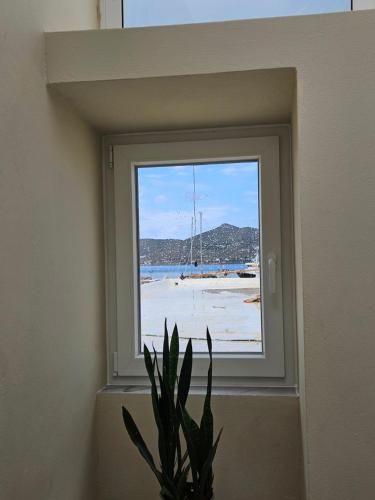 a window in a room with a plant in front of it at Domus MarZou Limanaki in Naousa