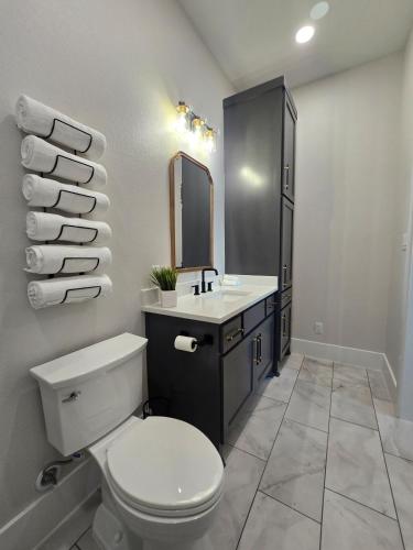 a bathroom with a toilet and a sink and a mirror at Roxell Ranch-A Country Retreat 12 Guests 6 beds in Brenham
