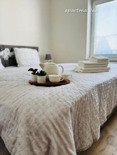 a tray with a tea set on top of a bed at Apartmány Komenského Velké Losiny in Velké Losiny