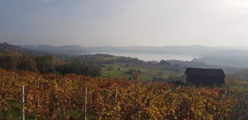 a barn on a hill with a field of autumn leaves at The Lake House in Viverone