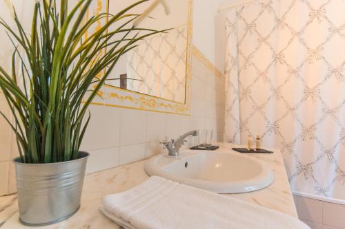 a bathroom with a sink and a potted plant at Herdade da Sanguinheira in Longomel