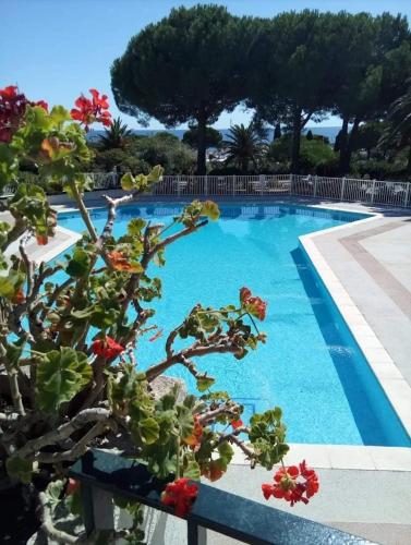 T2 bord de mer avec piscine