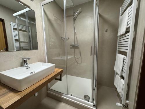 a bathroom with a sink and a shower at Wellness penzion U Grygarů in Lipník nad Bečvou