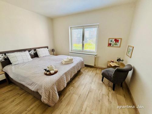 a bedroom with a bed with a table and a chair at Apartmány Komenského Velké Losiny in Velké Losiny
