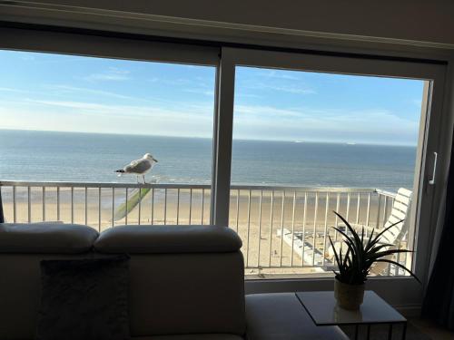 a seagull standing on a balcony looking out at the ocean at A&S Sea Vieuw 1 in Blankenberge