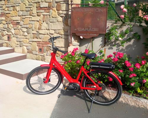 Jízda na kole v ubytování Hotel Al Sole - ENJOY HOLIDAY nebo okolí