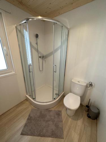 a bathroom with a shower and a toilet at Villa Benisa beach in Drage