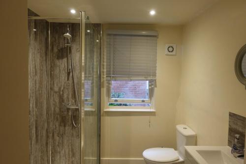 een badkamer met douche en toilet en een raam bij Unique, City-Center Location in Salisbury