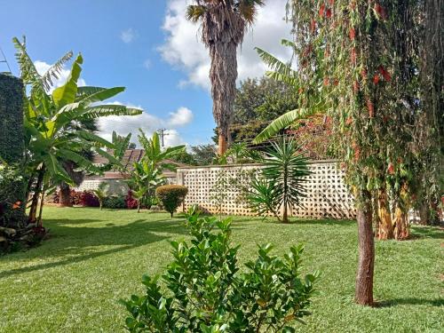 a garden with palm trees and a fence at Evergreen Karen Guesthouse in Nairobi