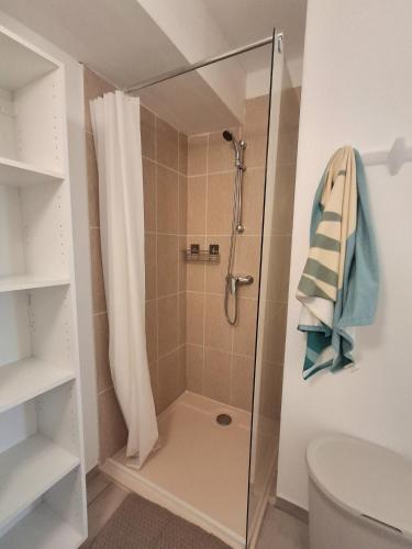 une douche avec une porte vitrée dans une salle de bain dans l'établissement Villas MELODY - Appartement climatisé 4/6 pers, à Santa-Maria-Poggio