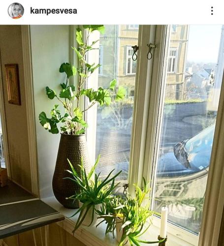 Κήπος έξω από το Cozy apartment centrally located in the middle of the city
