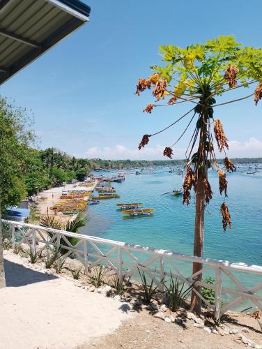 a view of a river with boats in the water at Aiko Beach Isla Sunrise Resort in Bolinao