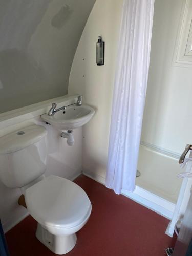 a bathroom with a toilet and a sink at Aran Islands Camping & Glamping in Kilronan