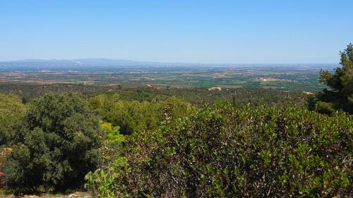 a view from the top of a hill with trees at LOFT L'Olivier in Llauro