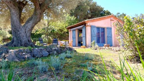 a small house with a tree in the yard at LOFT L'Olivier in Llauro