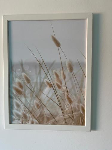 une photo d'herbe séchée dans un cadre photo dans l'établissement Appartement Cabourg, à Cabourg