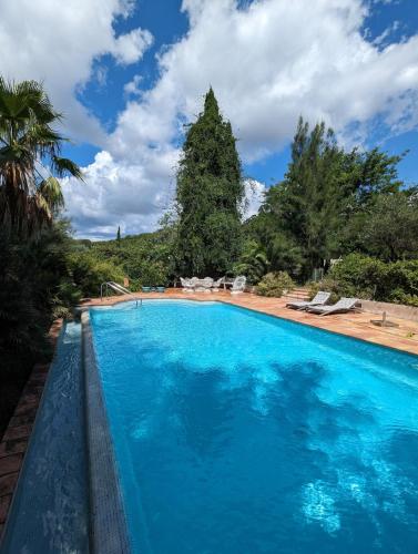 une grande piscine bleue avec un arbre en arrière-plan dans l'établissement La Maison du Jardin de Gassin Piscine, Calme et nature, à Gassin