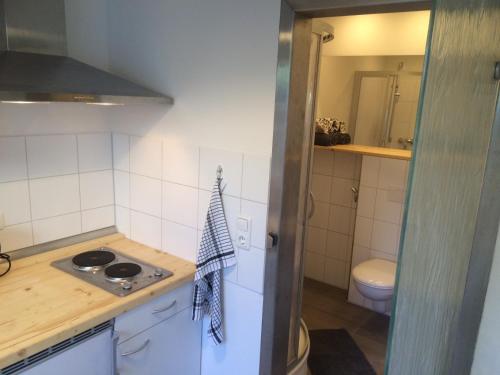 a small kitchen with a stove and a toilet at Pension Bach in Greifswald