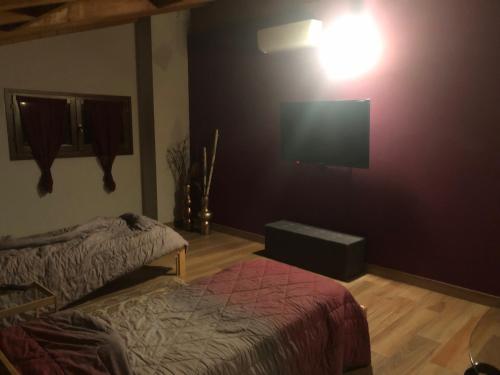 a bedroom with a bed and a flat screen tv at Casa ORCHIDEA in Bertonico