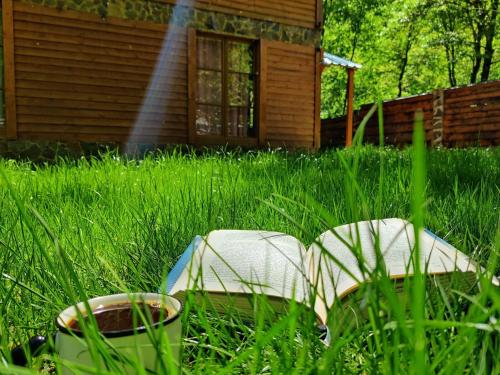 a house in the grass next to a building at Villa Maxi Likani in Borjomi
