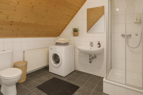 a bathroom with a toilet a sink and a washing machine at Ferien- und Monteurwohnung Grünstadt-Worms in Obrigheim