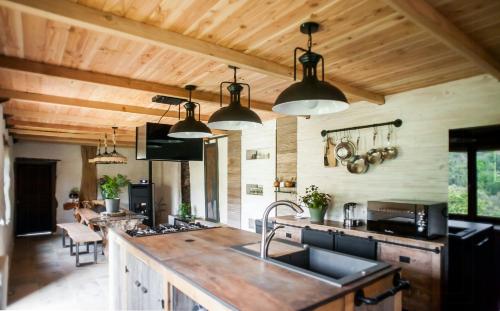 Il comprend une cuisine dotée de plafonds en bois et d'un comptoir avec évier. dans l'établissement 13Th Century Cévennes Stone House In Nature, à Soustelle