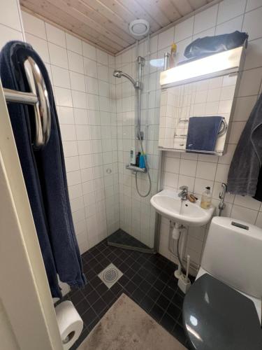 a bathroom with a sink and a toilet at Mukavat kaksi huonetta ja keittiö aseman lähellä in Hämeenlinna