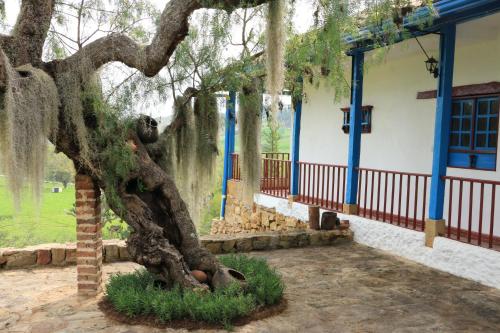 a tree in a yard next to a building at Casa Campestre SUANOGA in Pesca