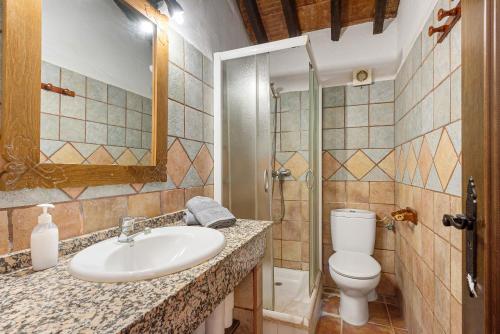 un bagno con lavandino e WC di La Casa Grande a Málaga