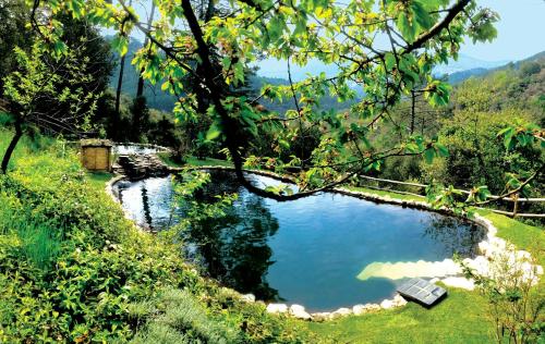 13Th Century Cévennes Farmhouse With Natural Pool