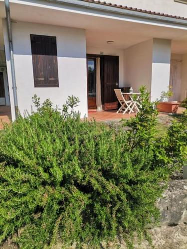 a house with a bush in front of it at Bilocale per gli amanti dello sci in Riolunato
