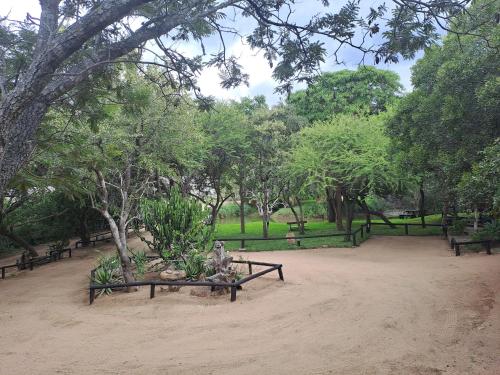 a park with a bench with plants and trees at LittleBush Private Lodge in Hoedspruit