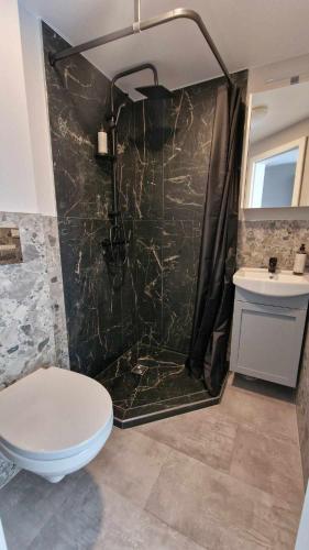 a bathroom with a shower and a toilet and a sink at Trumpalaikė butų nuoma Kaune prie Klinikų SELF CHECK-IN in Kaunas