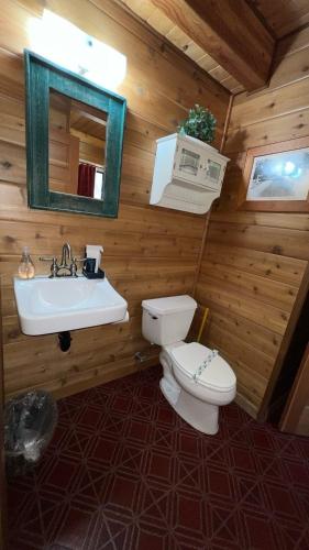 a bathroom with a toilet and a sink at Smokey Joes cabin in Zephyr Cove