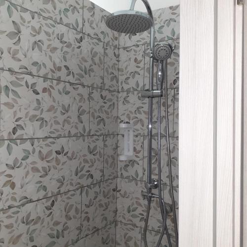 a shower with a shower head in a bathroom at Funny Village Dog Friendly in Pizzo