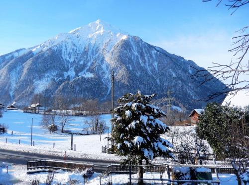 a snow covered mountain with a tree in the foreground at Ferienwohnung Haus Itten gemütlich und rustikal in Hondrich