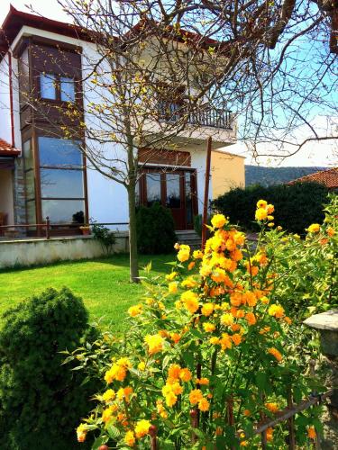 a garden with yellow flowers in front of a house at Evridiki in Vergina