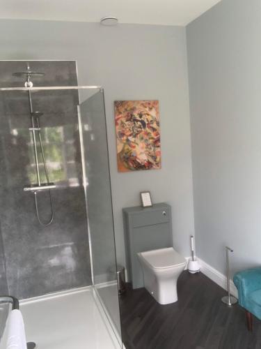 a bathroom with a shower and a toilet at Elrick Estate - Elrick House in Newmachar