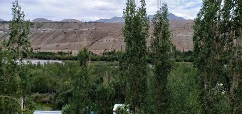 a group of trees in a field with a river at The Highland Mountain Resort & Spa Kargil in Kargil