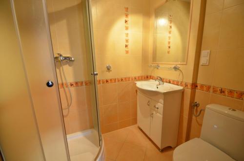 a bathroom with a shower and a toilet and a sink at Villa Savana in Mielno