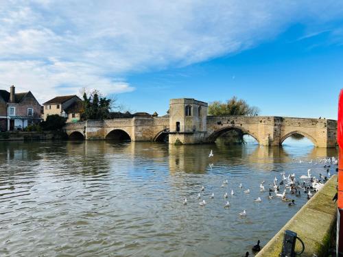 a group of ducks in the water under a bridge at Comfy, king bed families & Contractors welcome in St. Ives