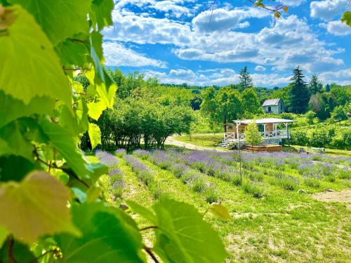 a garden with purple flowers and a gazebo at Tiny House at lake Balaton in Kisapáti