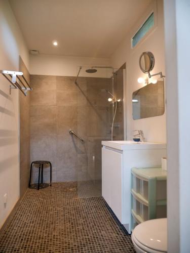 une salle de bain avec une douche, des toilettes et un lavabo dans l'établissement Maison vintage 1930 au vert, charme et confort, à Sadirac