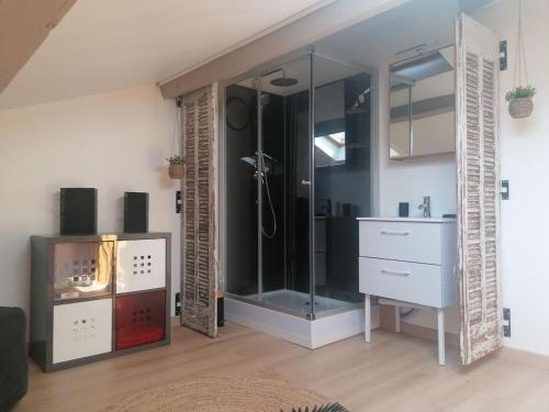 une salle de bain avec une douche en verre dans une chambre dans l'établissement Appartement cosy, à Cabrières