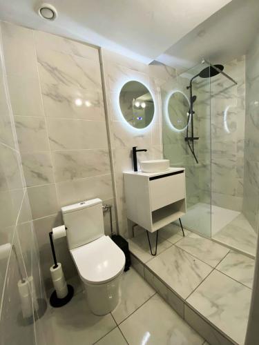 a bathroom with a toilet and a sink and a shower at Emerald Coast Gites and Lodge in Hénansal