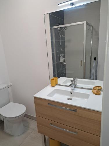 une salle de bain avec un lavabo, des toilettes et un miroir dans l'établissement Studio tout neuf, tout équipé, à 2 pas de l'océan, à Biscarrosse