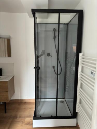 une douche avec une porte vitrée dans une salle de bain dans l'établissement La Suite du Beffroi, à Douai